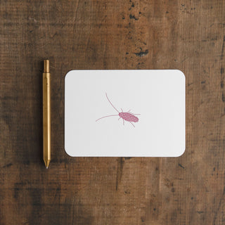 Palmetto Bug Letterpress Notecard Set | Rosefinch Ink