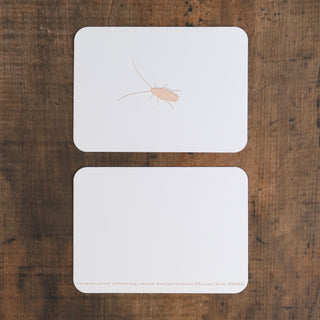Palmetto Bug Letterpress Notecard Set | Sonnet Ink